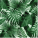 avatar of Pinjalinneamari