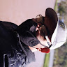 avatar of Juliano Santana Pita