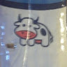 avatar of Rocío Mariel Gnas