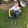 avatar of Ashton T