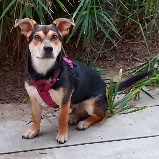 avatar of ABitMoreAdventure