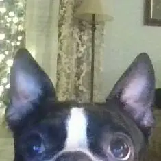 SawZNLou