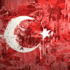 avatar of Furkan GÖĞSU 58