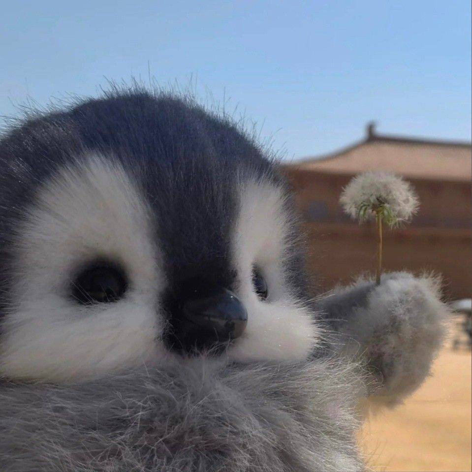 Puchx