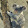 avatar of QuirkyQuokka