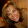 avatar of Joanna Dietz