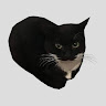 avatar of Wallop Gaming