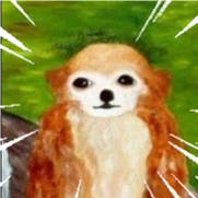 avatar of x64
