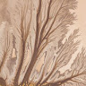 avatar of Rehman Rajpoot 
Rehm