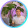 avatar of Enes Eyyes