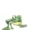 frogy