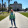 avatar of user2568194087