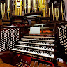 avatar of Shayden Jennings (Organmaestro22)