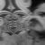avatar of Geo Baba Sign