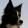 avatar of Braddock Musilli