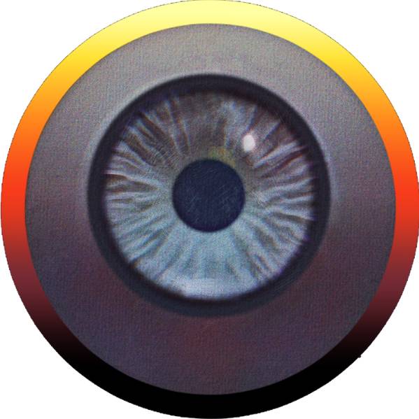 avatar of rubios-workshop