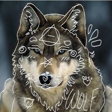 avatar of CloverFroggy