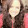 avatar of Melissa Pallagi