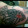 avatar of user9885179089