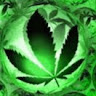 avatar of MrTurtleMan