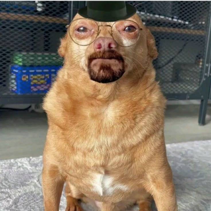 avatar of Marco Duran