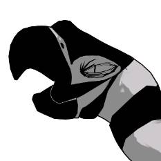 avatar of Arara