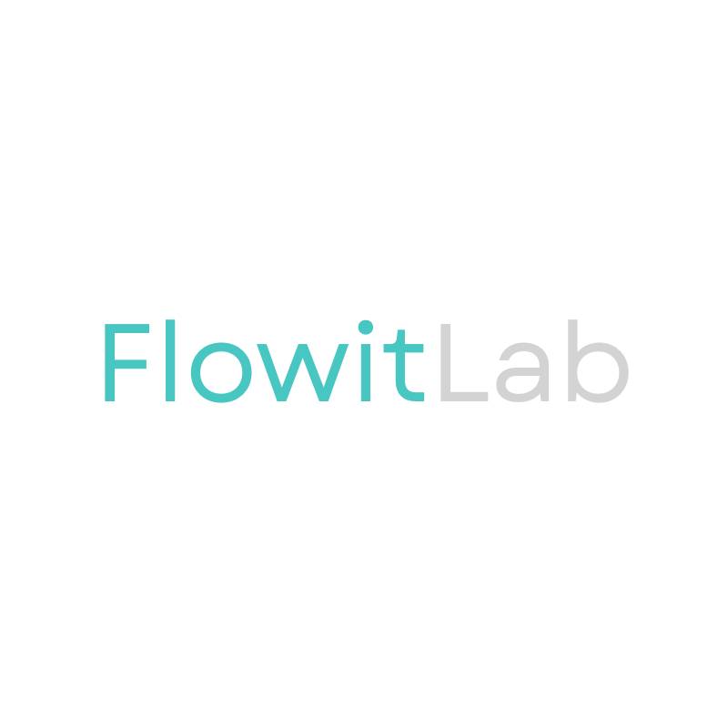 avatar of Flowit Lab