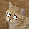 avatar of BitingChaos