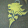 avatar of Tiklin