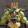 avatar of ResinPeasant