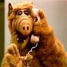 avatar of Austin Freidline