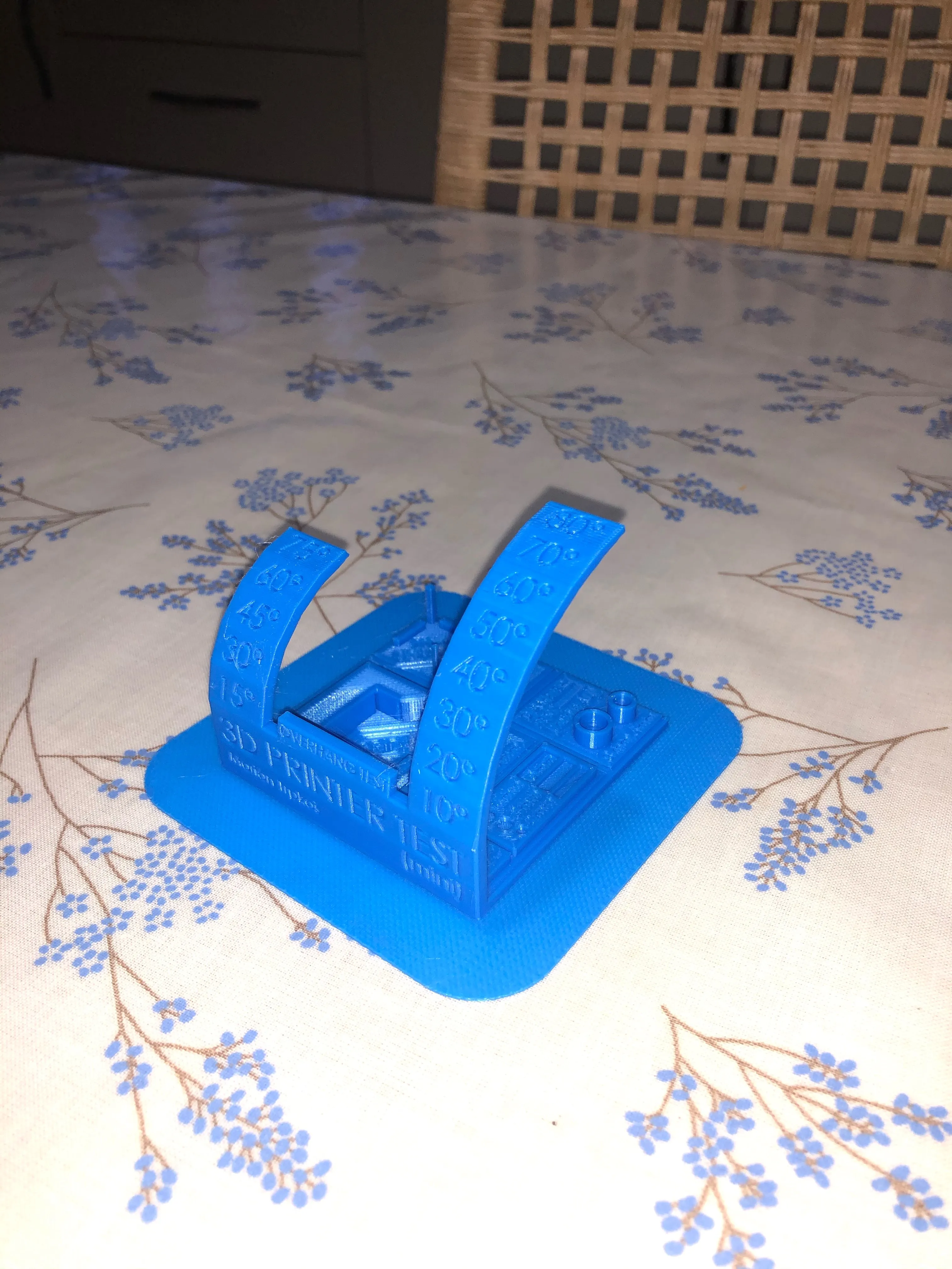 Braes 3D Printing