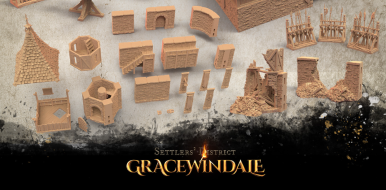 Gracewindale -Town Guard