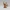 Cute Christmas Reindeer Figurine 3D Print – Festive Holiday