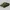 Russischer Panzer, Dschersinski "T-34 - M1941" Modell T34/76