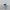 señor del cambio - demonio mayor de tzeentch - dp