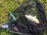 Two-Hook Feeder – Safer & More Effective Fishing-5