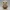 Knitted Baby Eagle Guardian – Noah0x03
