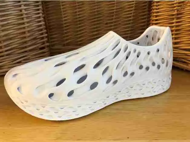 Shoe from thingyverse.com