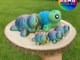 Cute Turtle-1