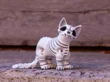 Skeleton Cat Articulated Toy-2