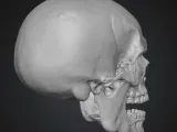 Terrifying Skull Head-3