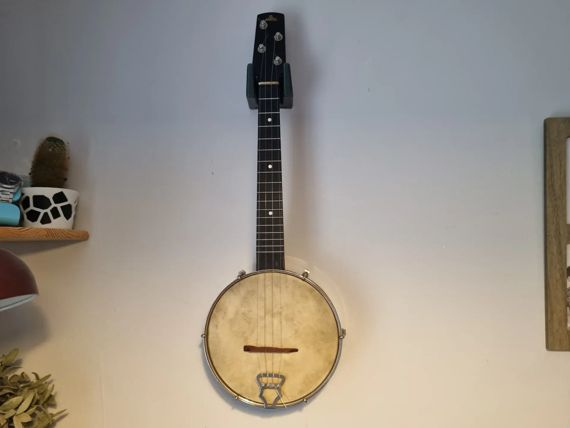 Support mural robuste pour instruments Ukulélé et Banjo