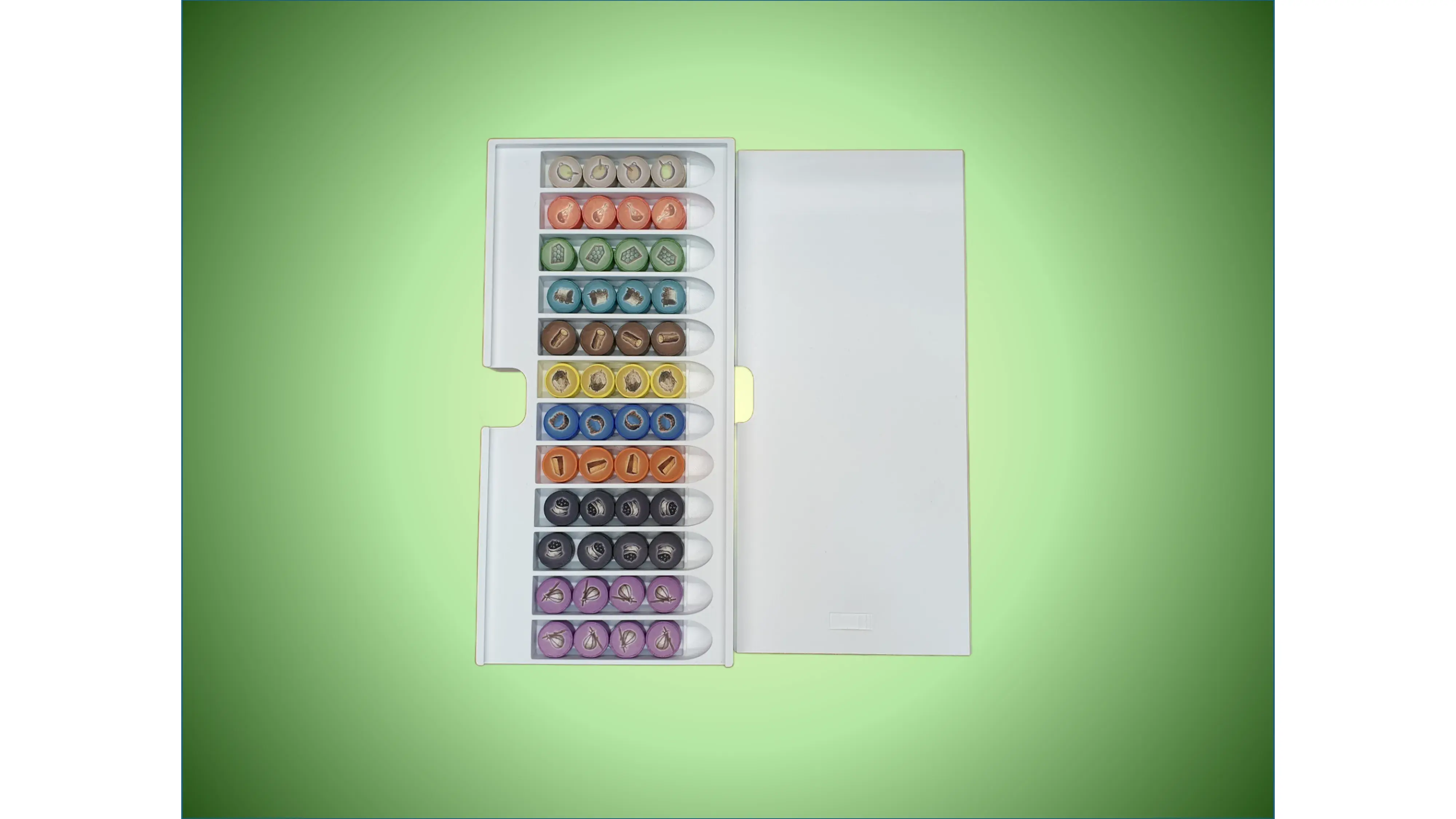 Black Forest Board Game Organizer | Insert | Premium
