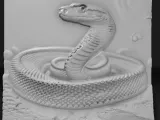 snake-0