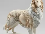 Rough Collie-1