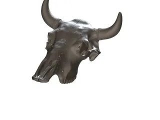 cow skull