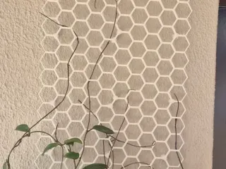 WAS_PLANT_SUPPORT_4