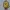 chick-8-bit-pixel-art, 5 colors (by sub-object)