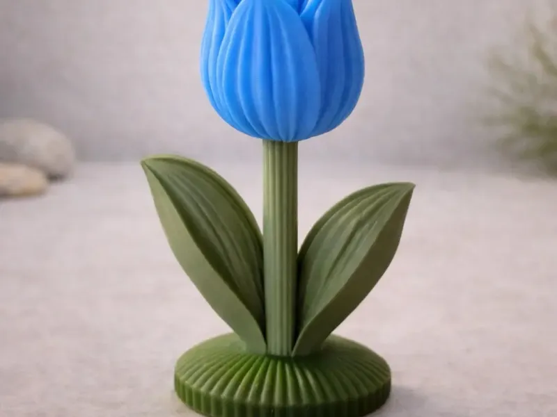 Cute Tulip